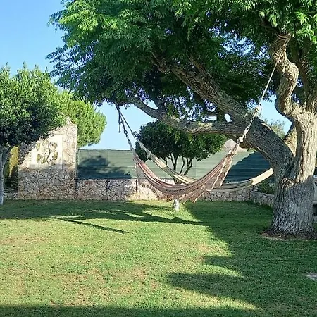 Quinta Das Aves - Estudios